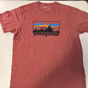 Men's Patagonia Logo Graphic Tee
